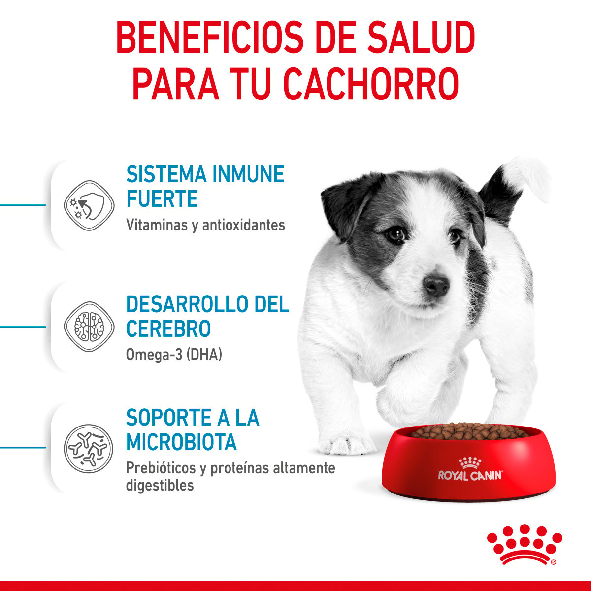 Alimento Royal Canin Para Perro Cachorro Raza Pequeña