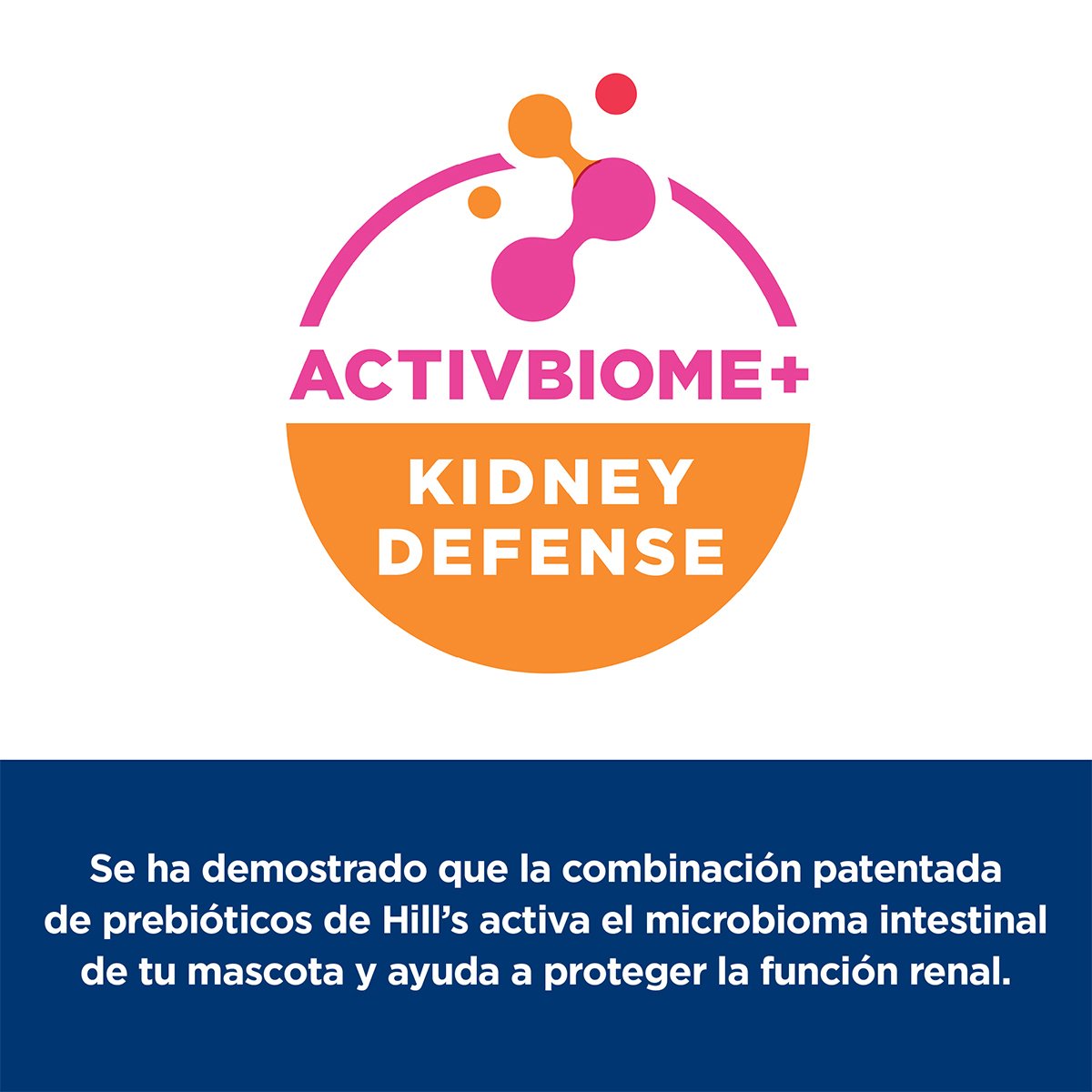 Alimento Hill's Prescription Diet k/d Cuidado del Riñon Para Gato