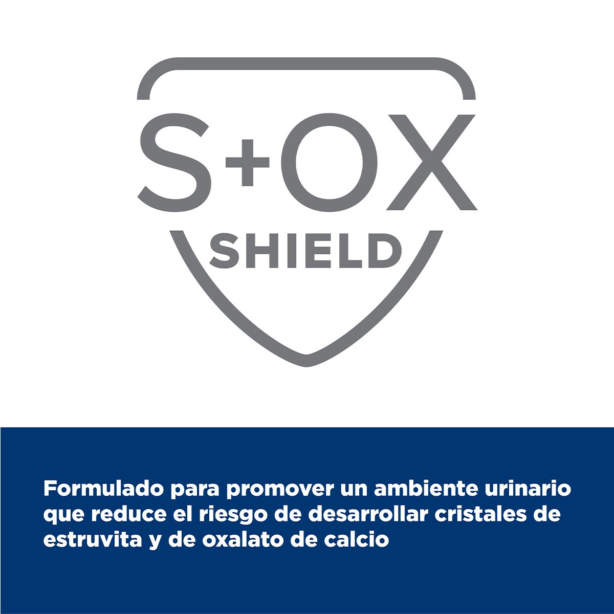 Alimento Hill's Prescription Diet k/d Cuidado del Riñon Para Gato