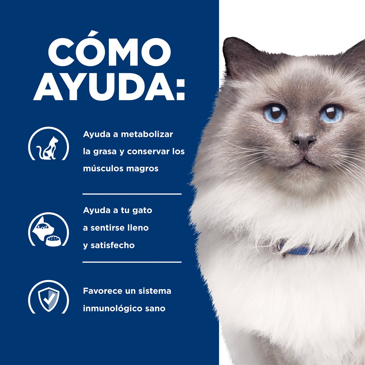 Alimento Hill's Prescription Diet r/d Reducción de Peso Para Gato 3.9kg (Bajo pedido)