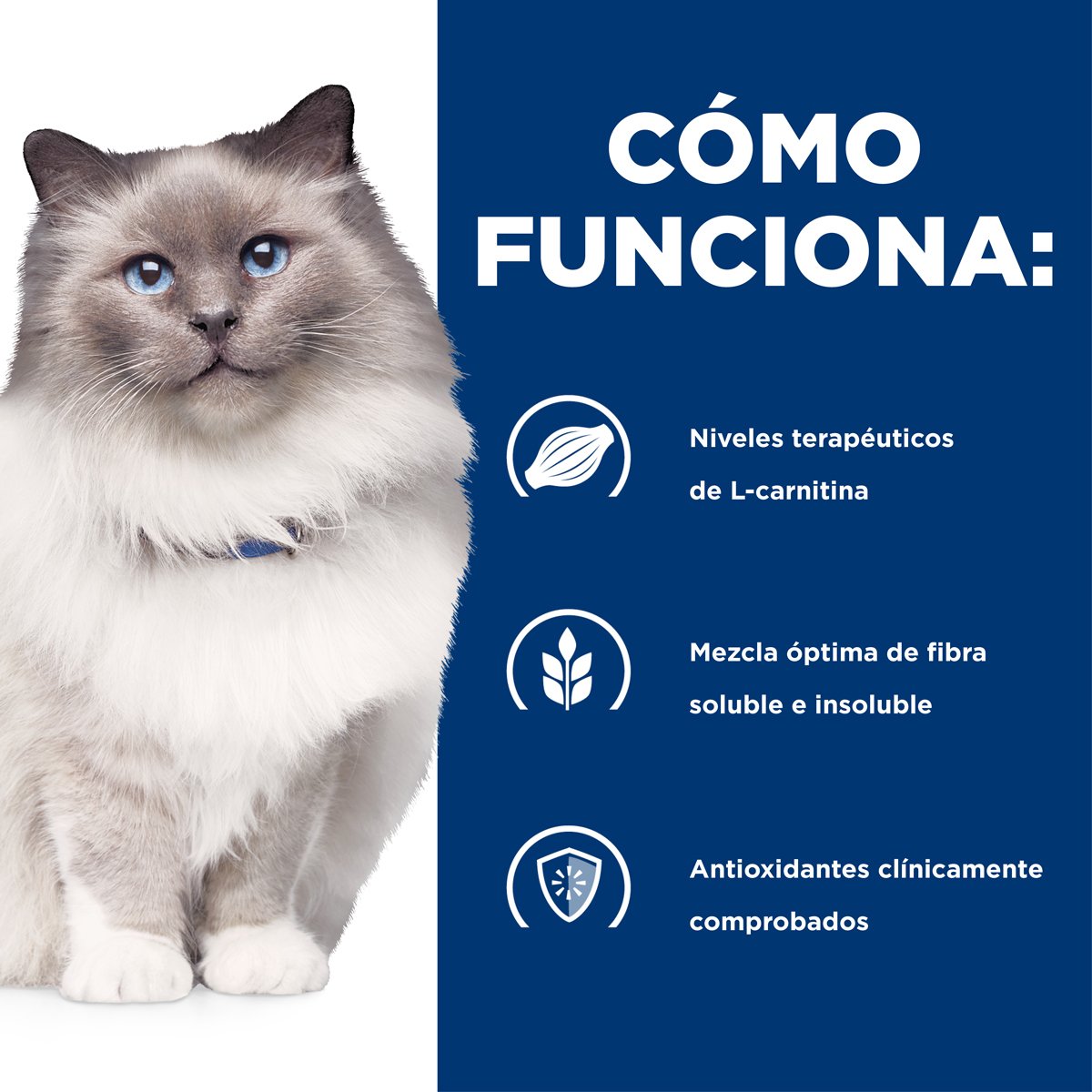 Alimento Hill's Prescription Diet r/d Reducción de Peso Para Gato 3.9kg (Bajo pedido)