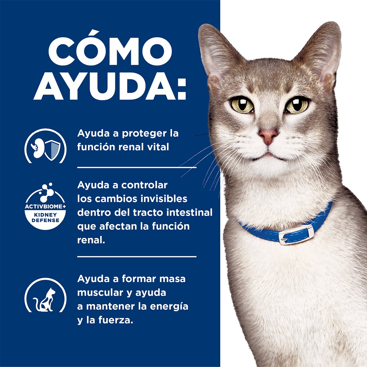 Alimento Hill's Prescription Diet k/d Cuidado del Riñon Para Gato Lata 156g