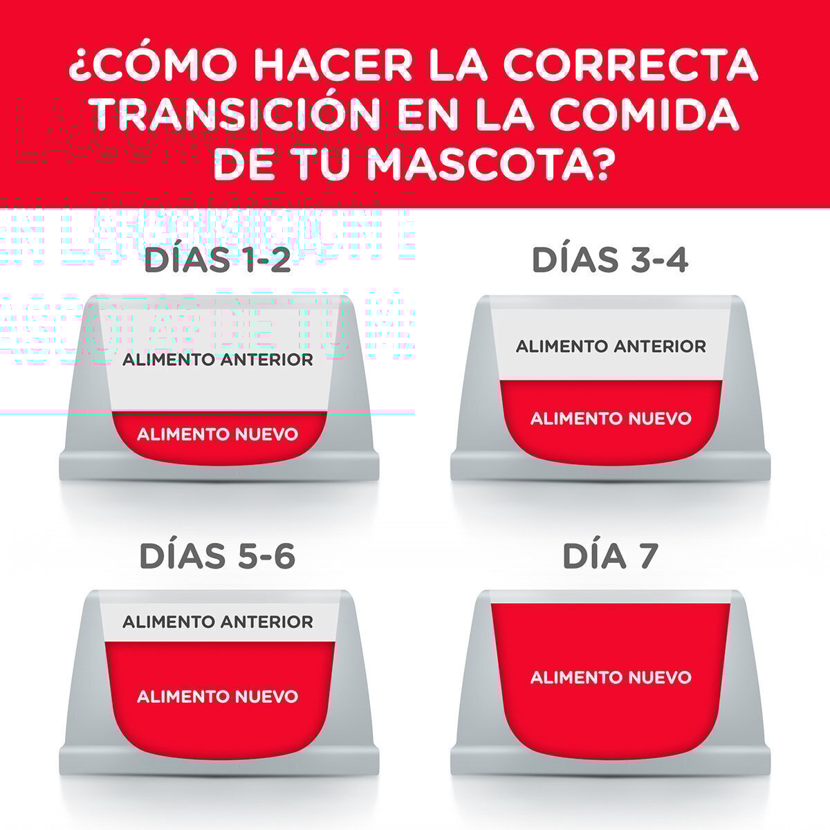 Alimento Hill's Science Diet Adult Small Bites (Bajo pedido)