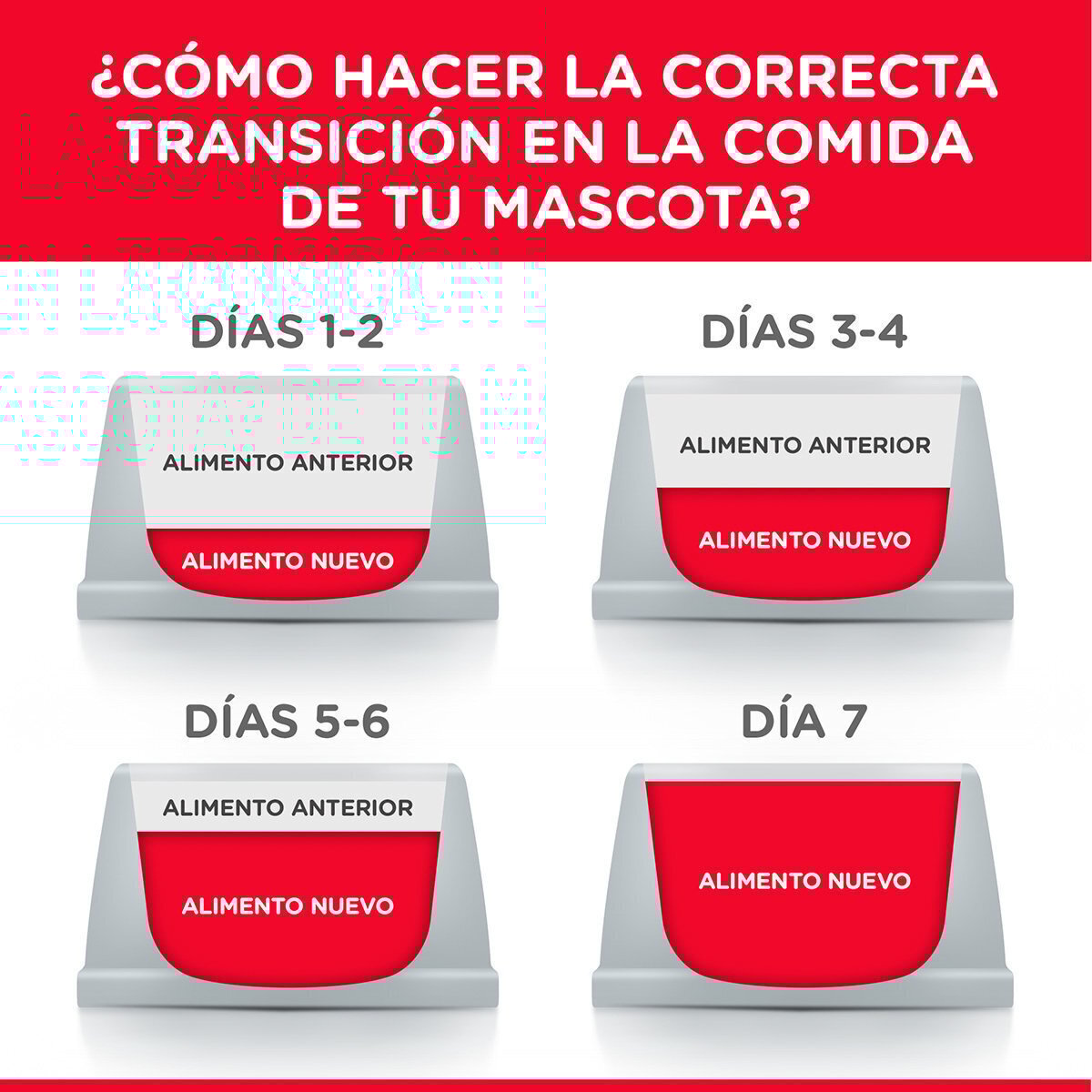 Alimento Hill's Science Diet Original Adulto Para Perro (Bajo pedido)