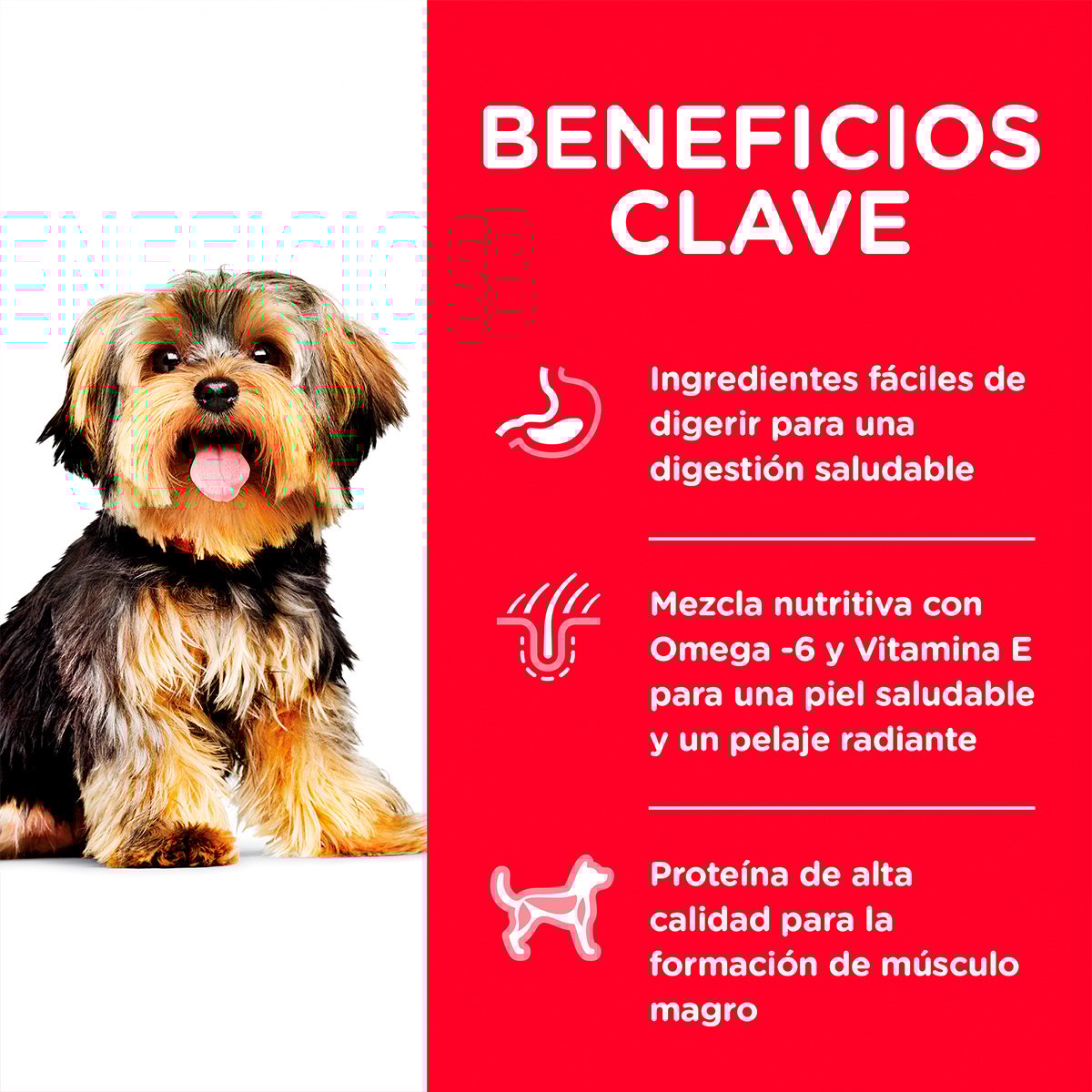 Alimento P/Perro Adulto Small Paws (Bajo pedido)