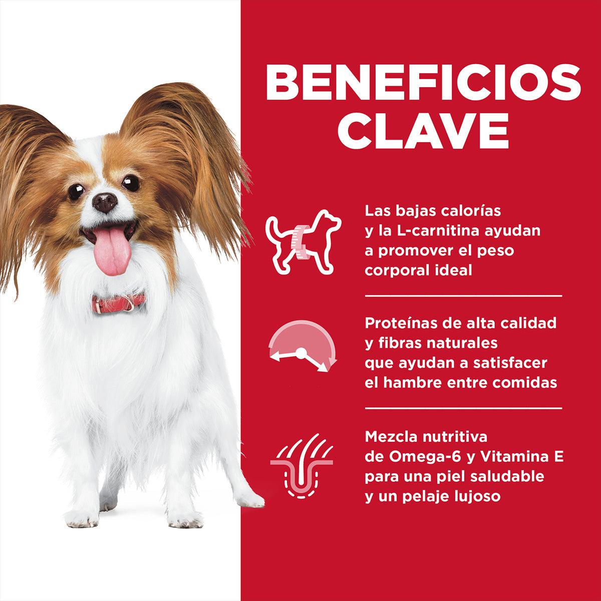 Hill's Science Diet Small & Mini Light Alimento para Perro Adulto Raza Pequeña y Mini (UNICAMENTE BAJO PEDIDO)