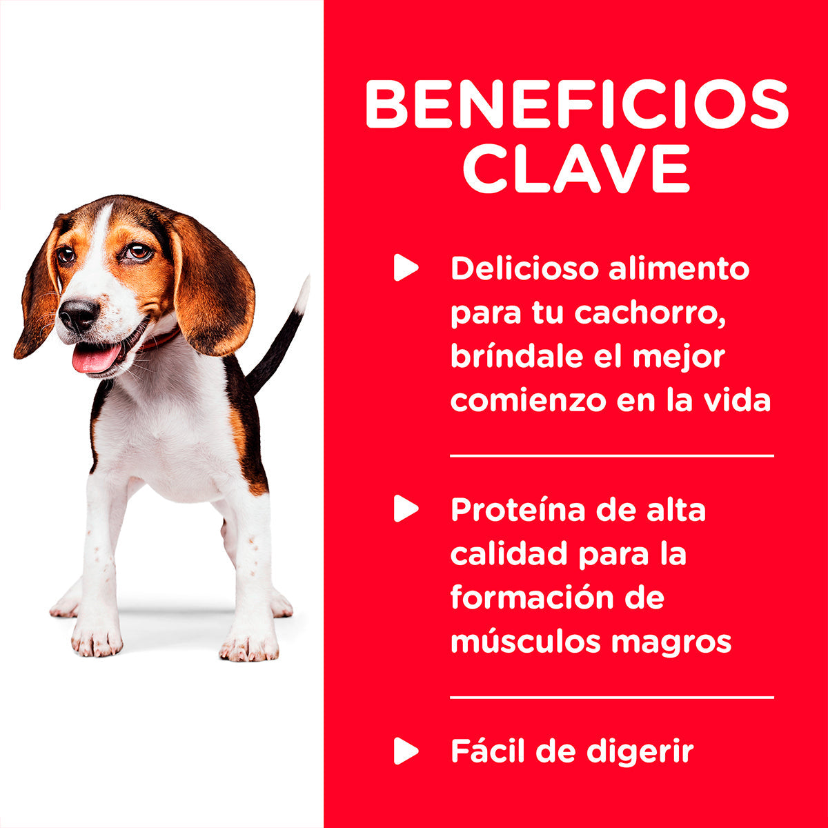 Alimento Hill's Science Diet Original Para Cachorro Lata 370g (Bajo pedido)