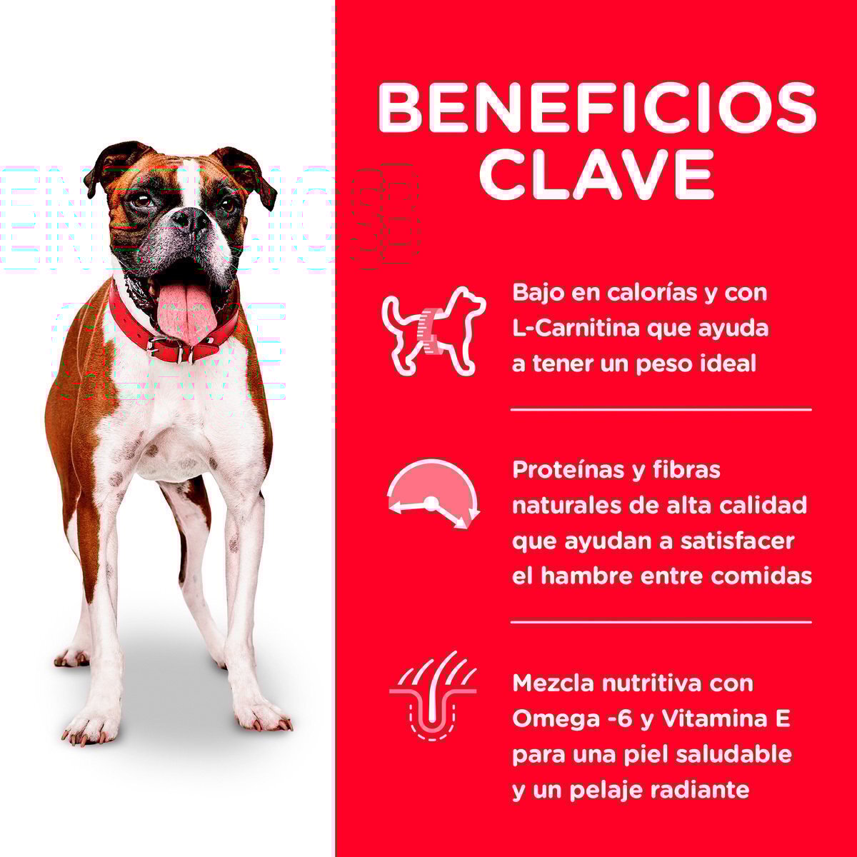 Alimento Hill's Science Diet Adult Light Dog Food (Bajo pedido)