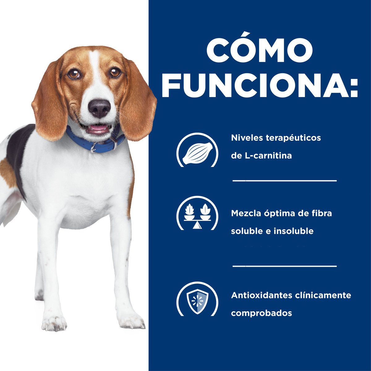 Alimento Hill's Prescription Diet r/d Reducción de Peso Para Perro