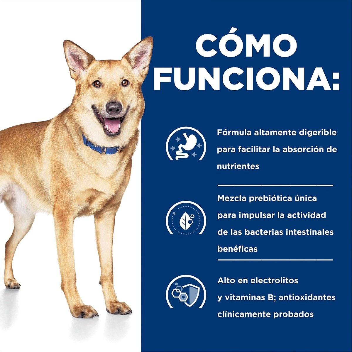 Prescription Diet i/d Cuidado Digestivo Pavo Para Perro Lata 370g