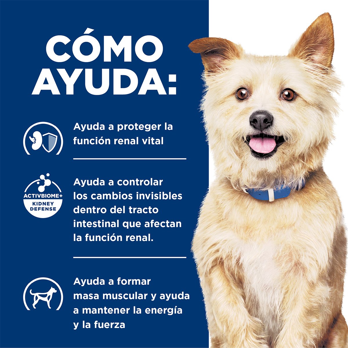 Alimento Hill's Prescription Diet k/d Cuidado del Riñón Pollo Para Perro Lata 370g