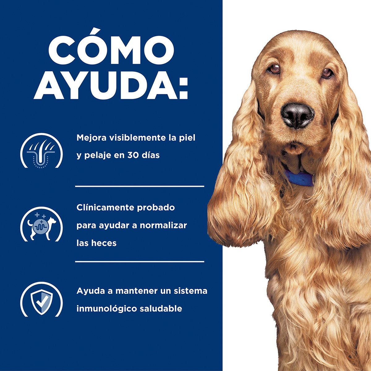 Alimento Hill's Prescription Diet z/d Sensibilidad Alimenticia Para Perro
