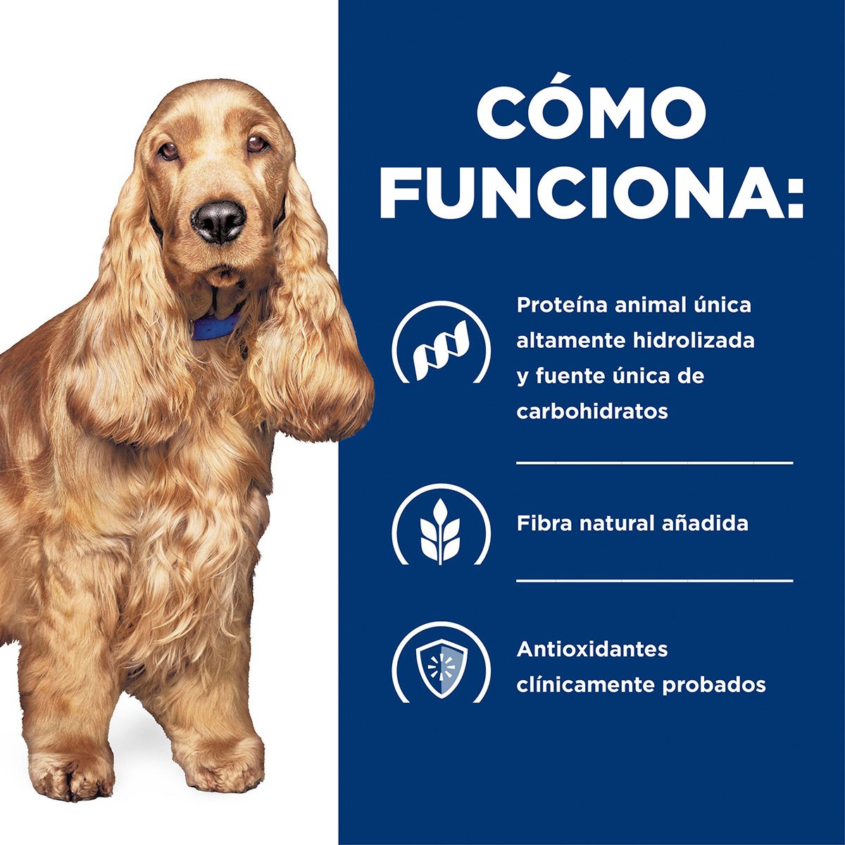 Alimento Hill's Prescription Diet z/d Sensibilidad Alimenticia Para Perro