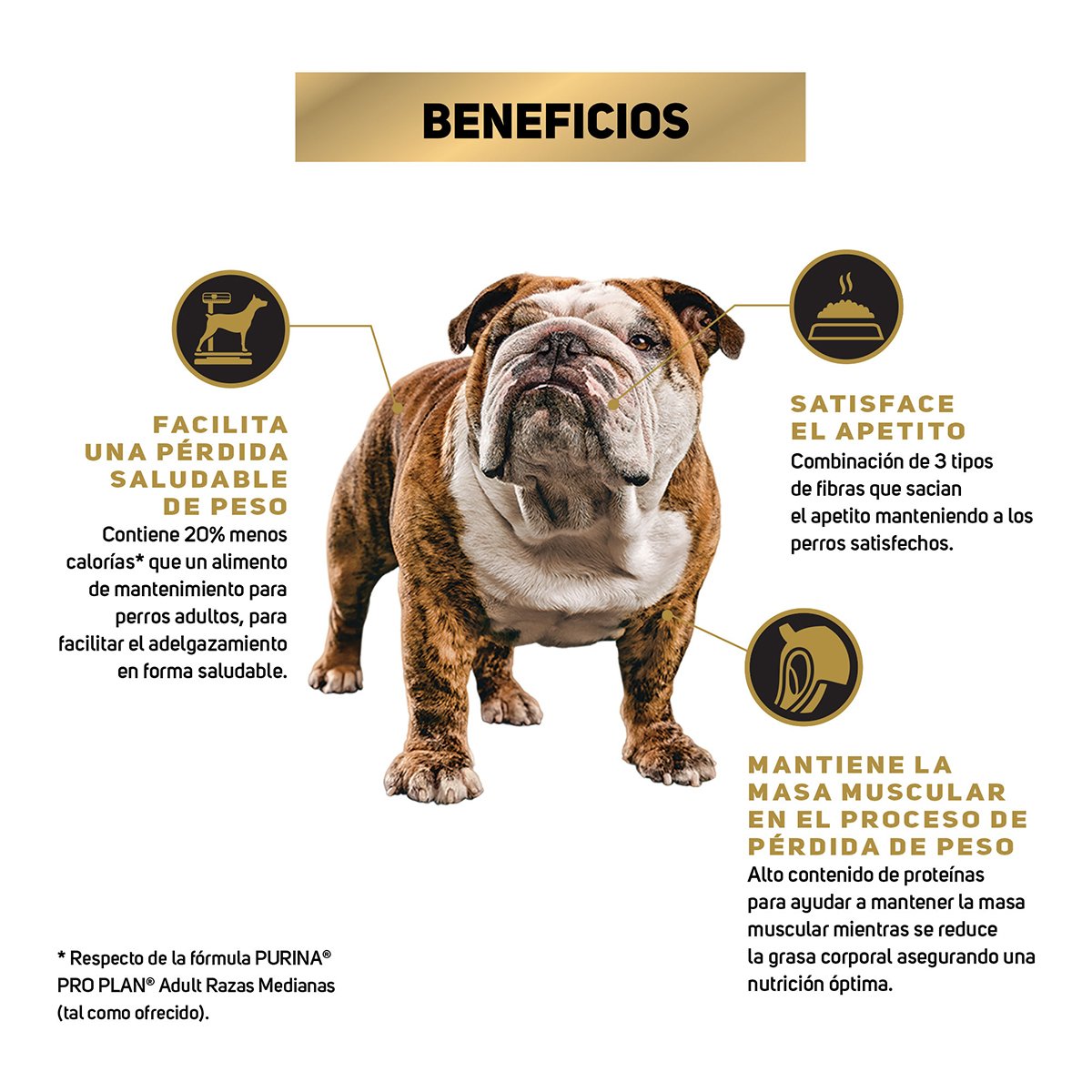 Alimento Pro Plan Reduce Calorie Perro Adulto Todas las Razas (Bajo pedido)