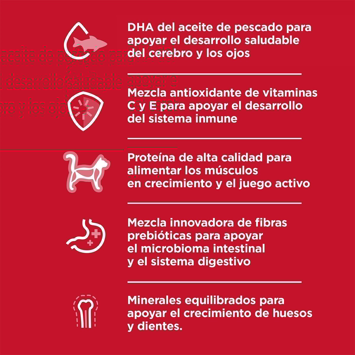 Alimento Hill's Science Diet Indoor Kitten Para Gato (Bajo pedido)