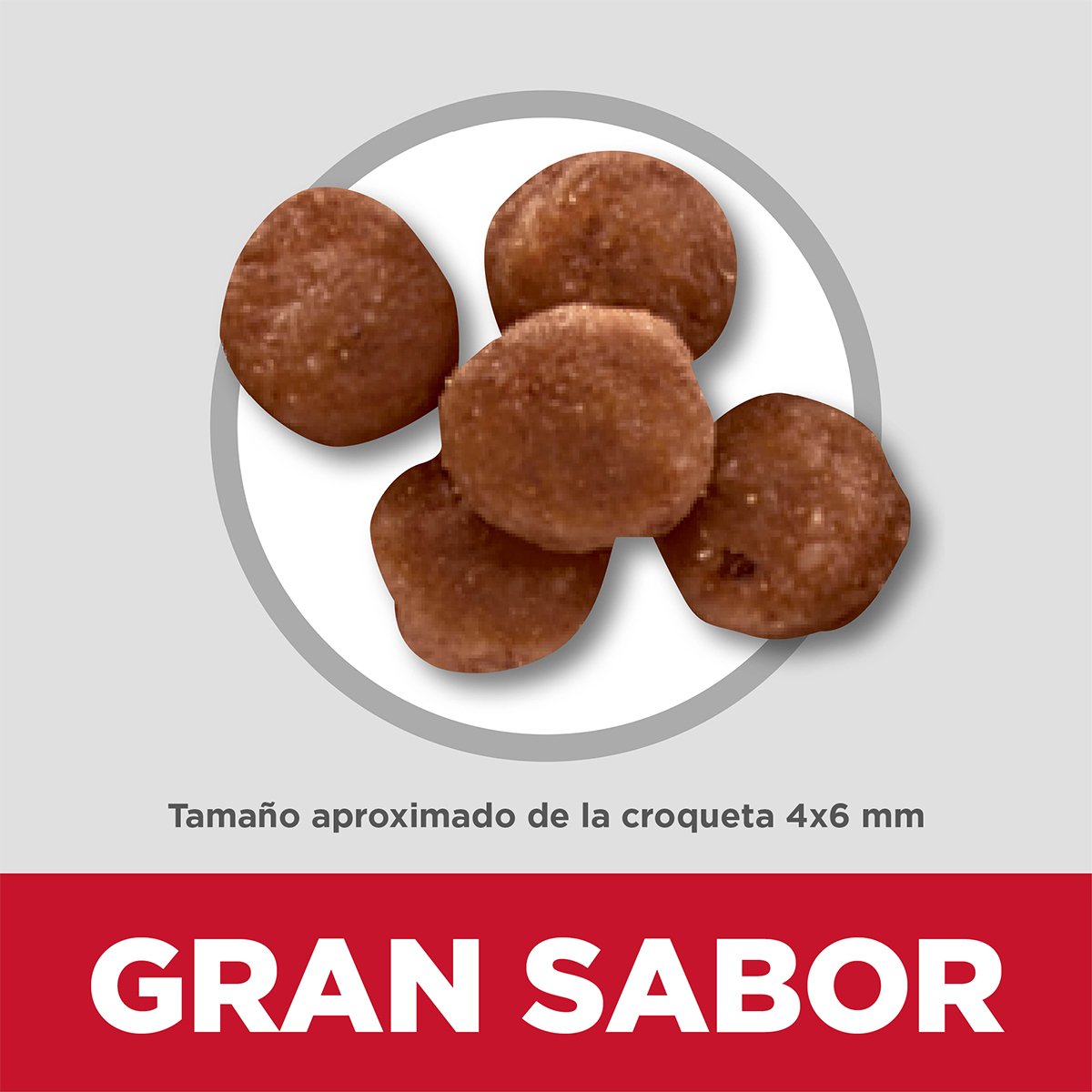 Alimento Hill's Science Diet Indoor Kitten Para Gato (Bajo pedido)