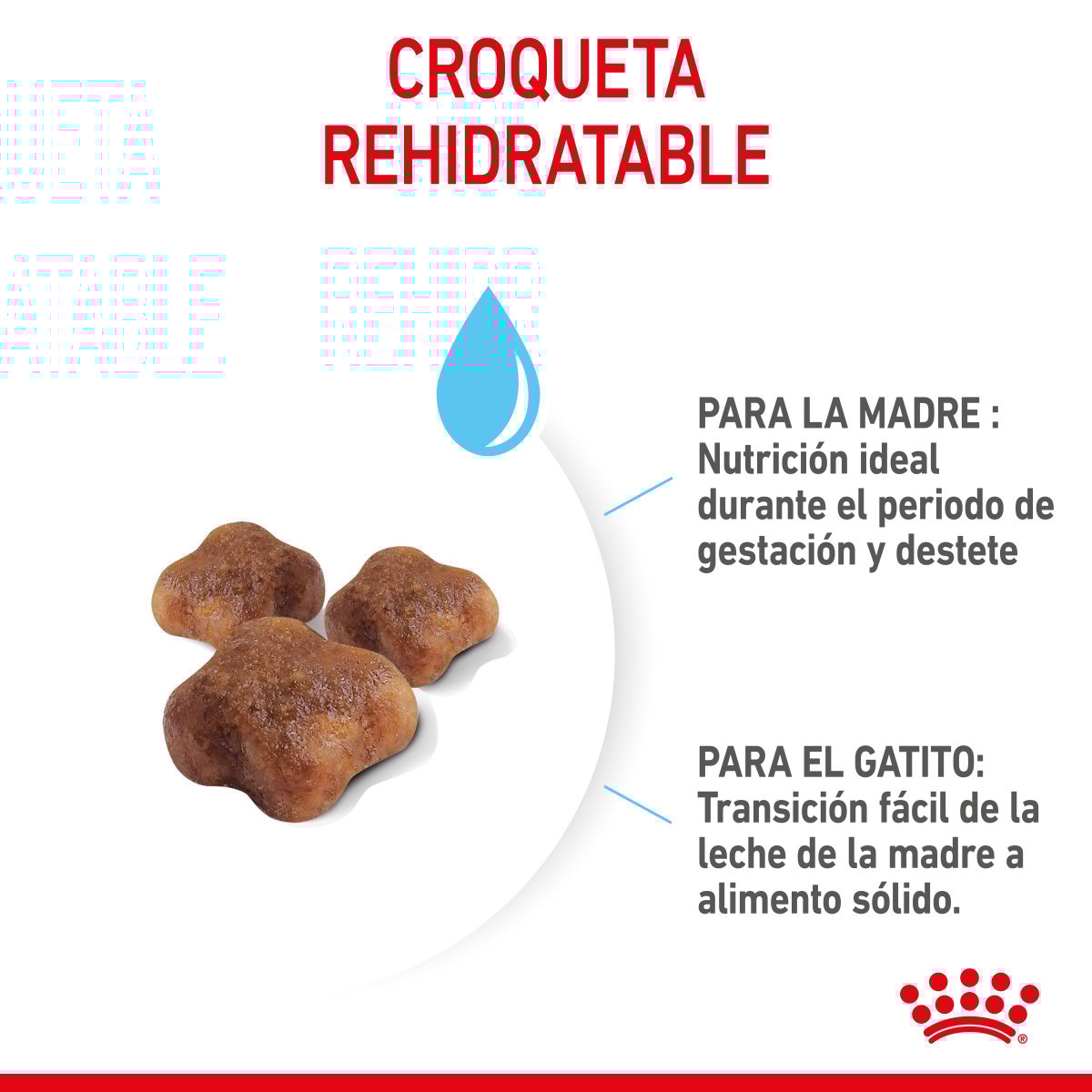 Royal Canin Mom & BabyCat Alimento Seco para Gestación / Lactancia o Destete para Gato, 1.3 kg