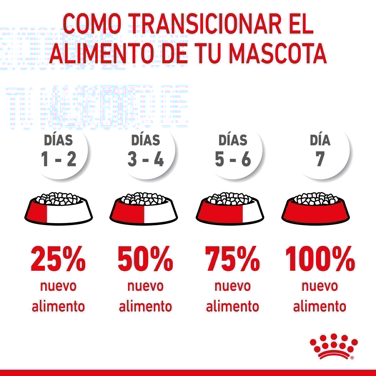 Royal Canin Mom & BabyCat Alimento Seco para Gestación / Lactancia o Destete para Gato, 1.3 kg