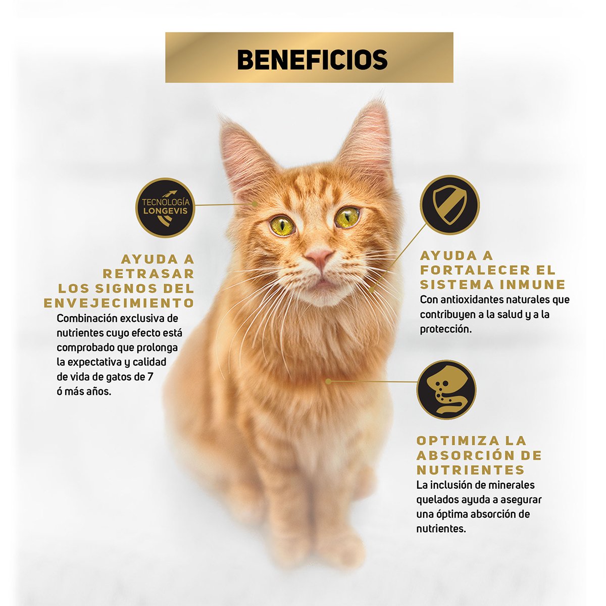 Alimento Pro Plan Gato 7+ con OPTIAGE Adulto Senior 3kg