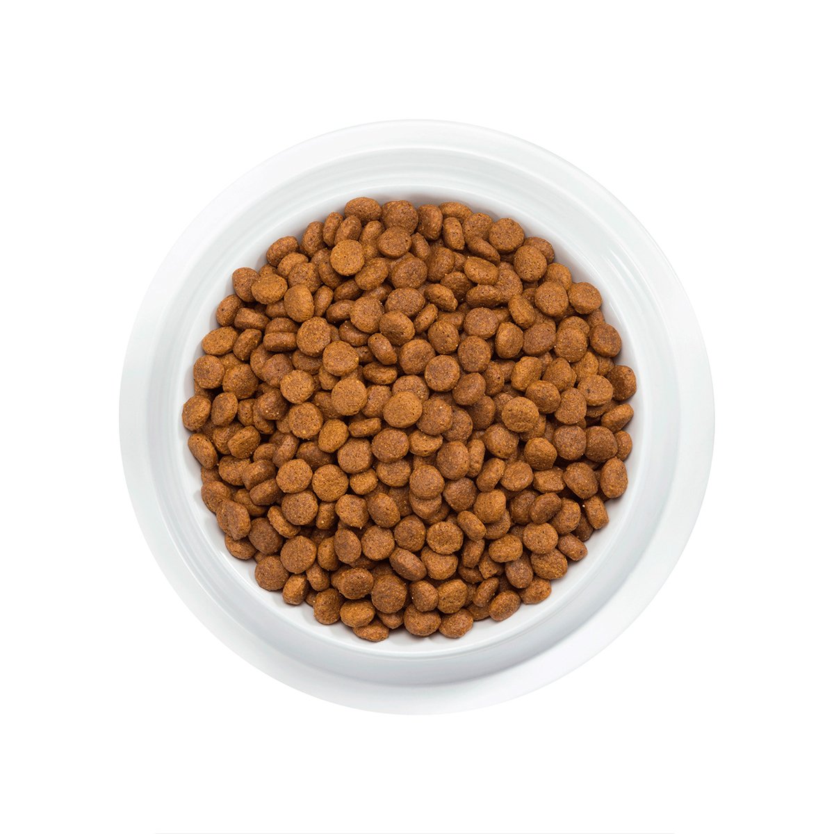 Alimento Pro Plan Gato 7+ con OPTIAGE Adulto Senior 3kg