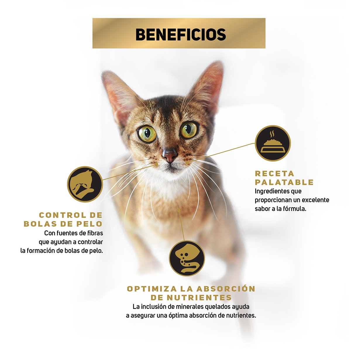 Alimento Pro Plan Gato Reduce Calorie 3kg (Bajo pedido)
