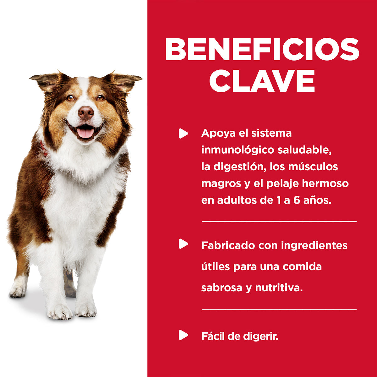 Alimento Hill's Science Diet Original Adulto Healthy Cuisine Para Perro Lata 350g