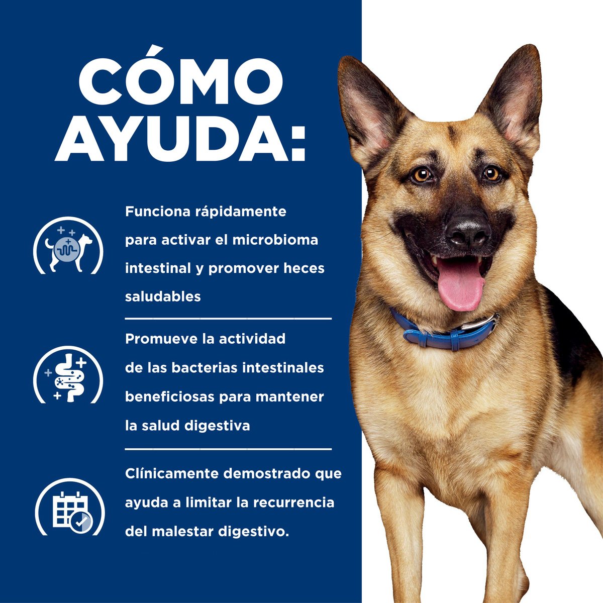 Alimento Hill´s Prescripción Gastrointestinal Biome Para Perro