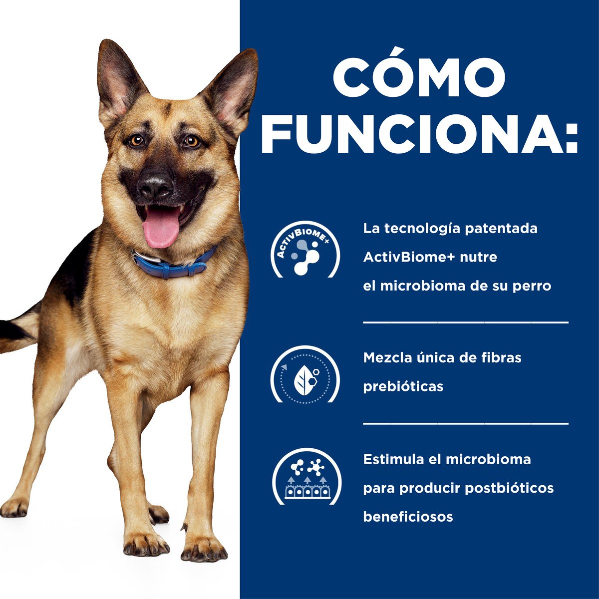 Alimento Hill´s Prescripción Gastrointestinal Biome Para Perro