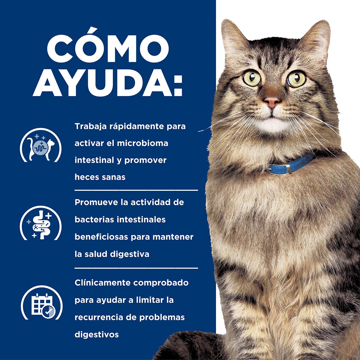 Alimento Hill's Prescription Diet Gastrointestinal Biome Para Gato 1.81kg