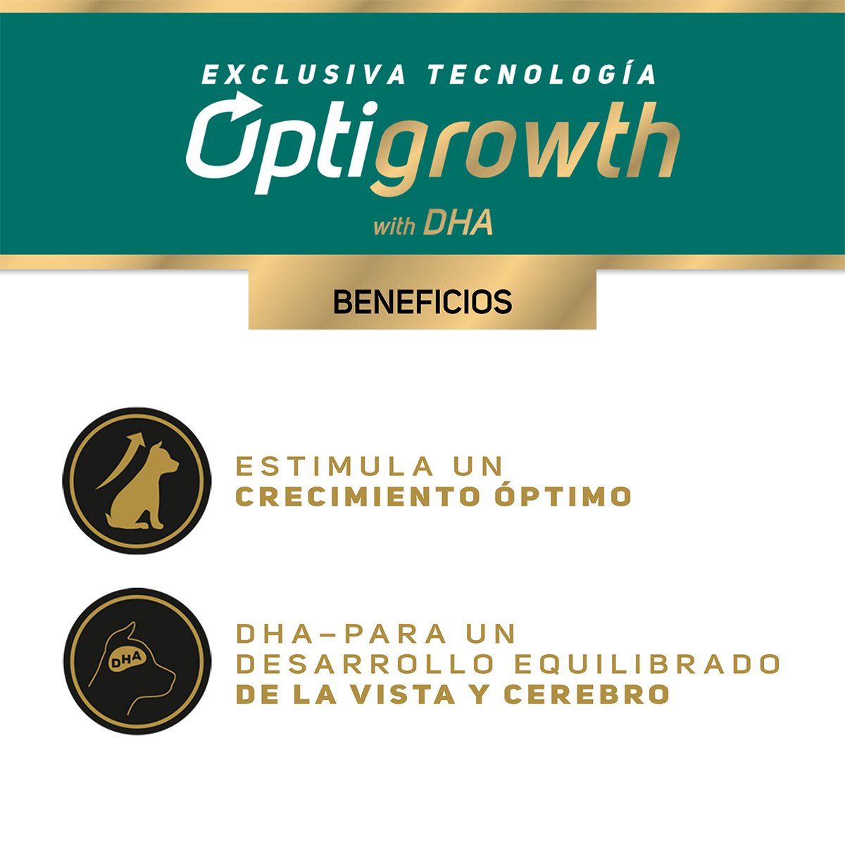 Pro Plan Puppy Optigrowth Alimento Húmedo para Cachorro Receta Pollo en Salsa 85 g