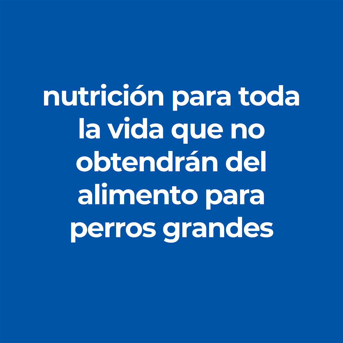 Alimento Hill´s Science Diet Senior Small Paws Para Perro 2.27kg (Bajo pedido)