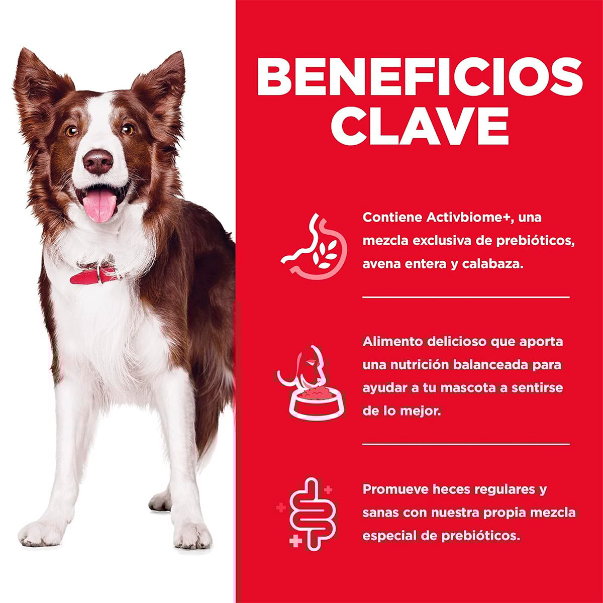 Alimento Hill's Science Diet Adult Perfect Digestion (UNICAMENTE BAJO PEDIDO)