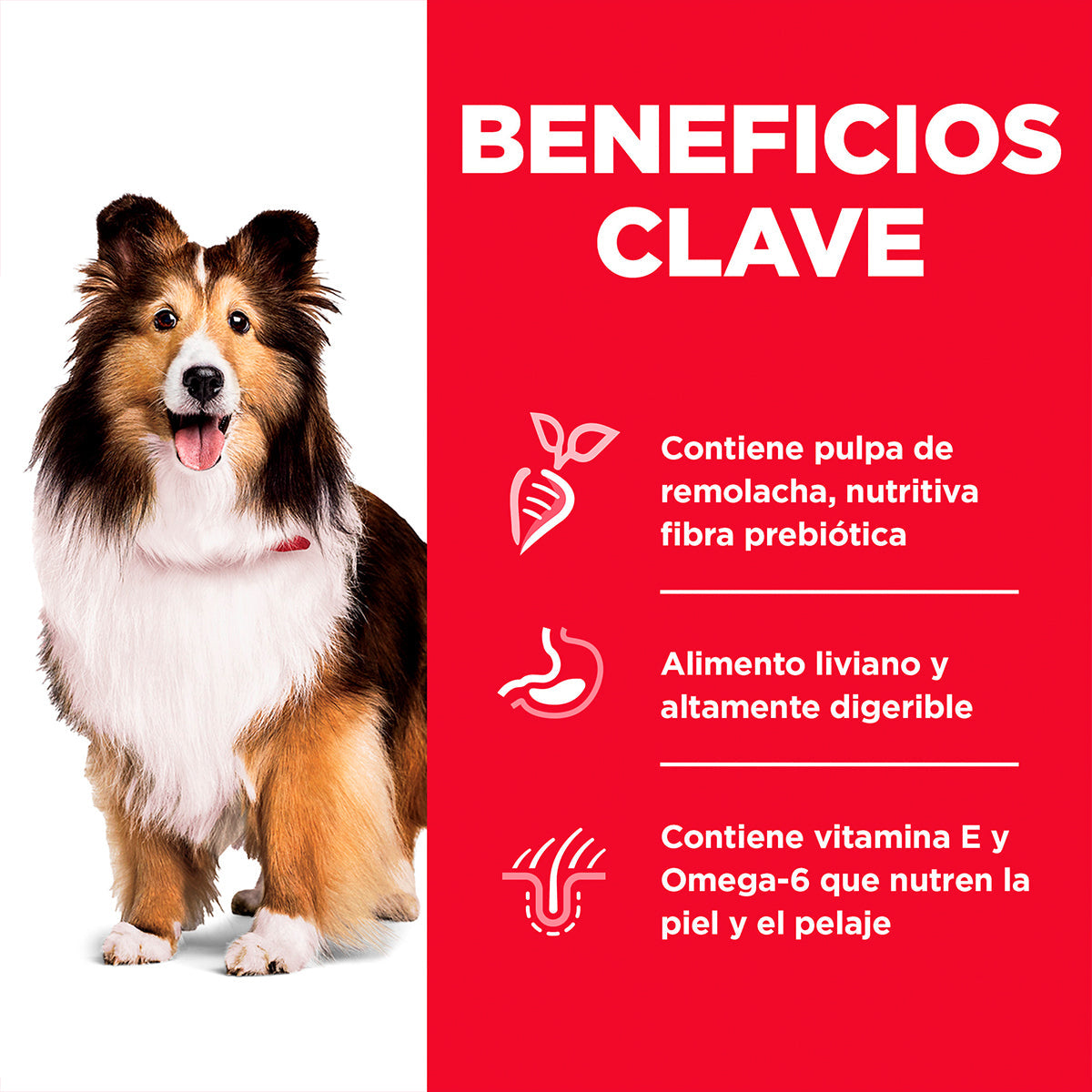 Hill's Science Diet Alimento Seco Piel y Estómago Sensibles para Perro Raza Mediana/Grande (UNICAMENTE BAJO PEDIDO)
