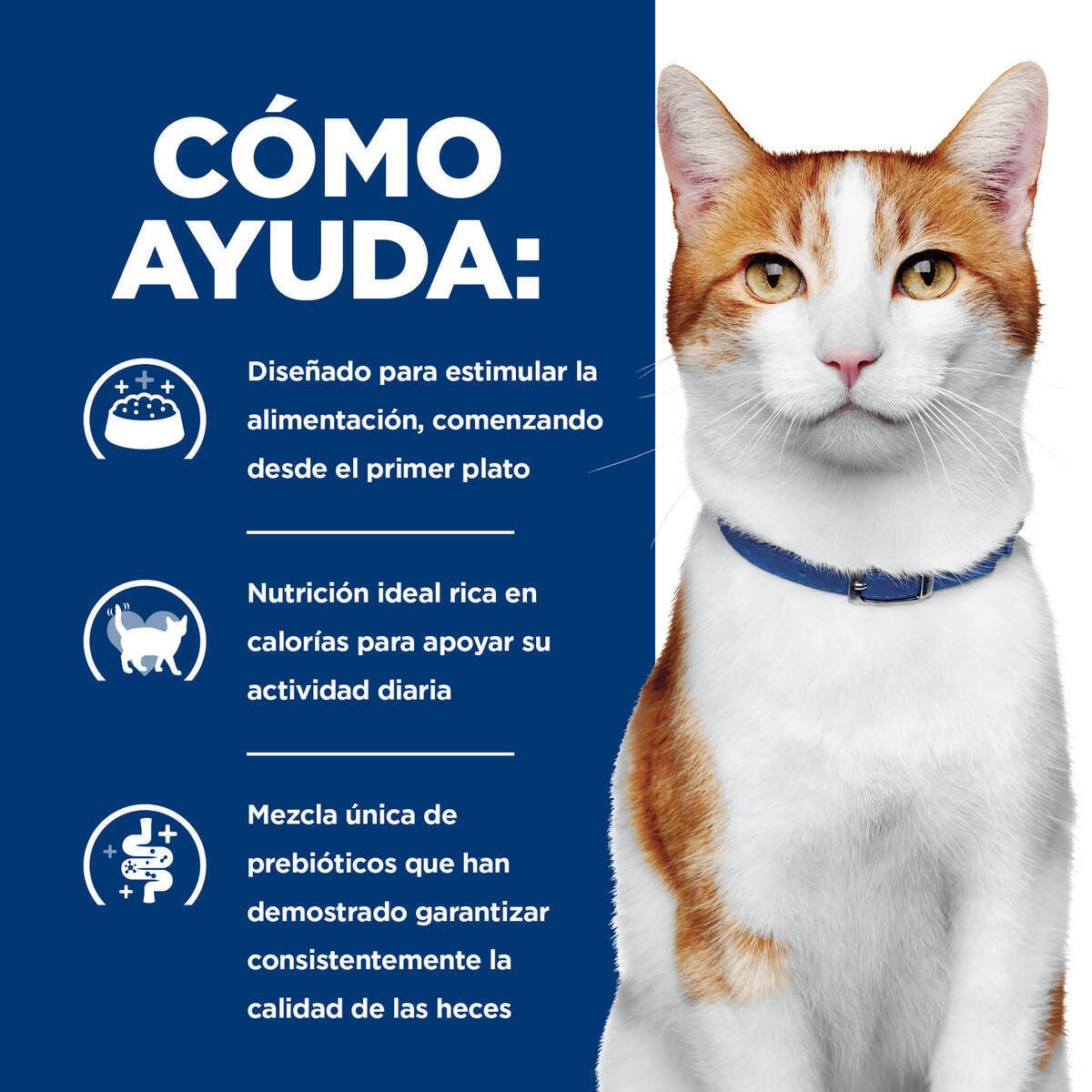 Alimento Hill's Prescription Diet Onc Care Para Gato Lata 82g (ÚNICAMENTE BAJO PEDIDO)