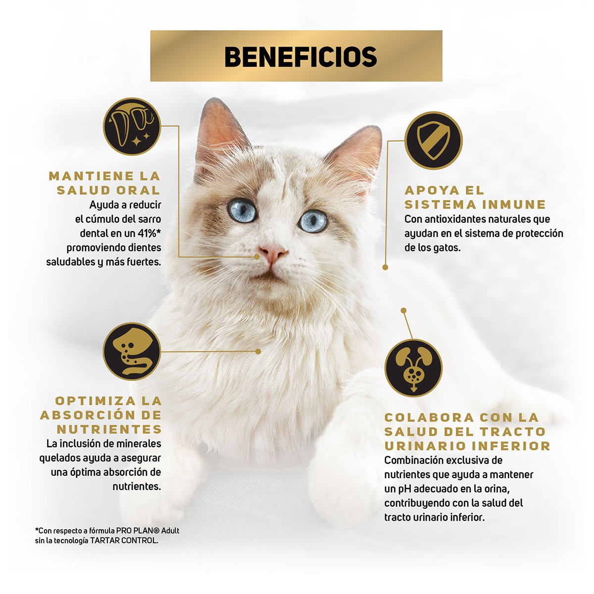 Alimento Pro Plan Gato Adulto Con OPTIPREBIO