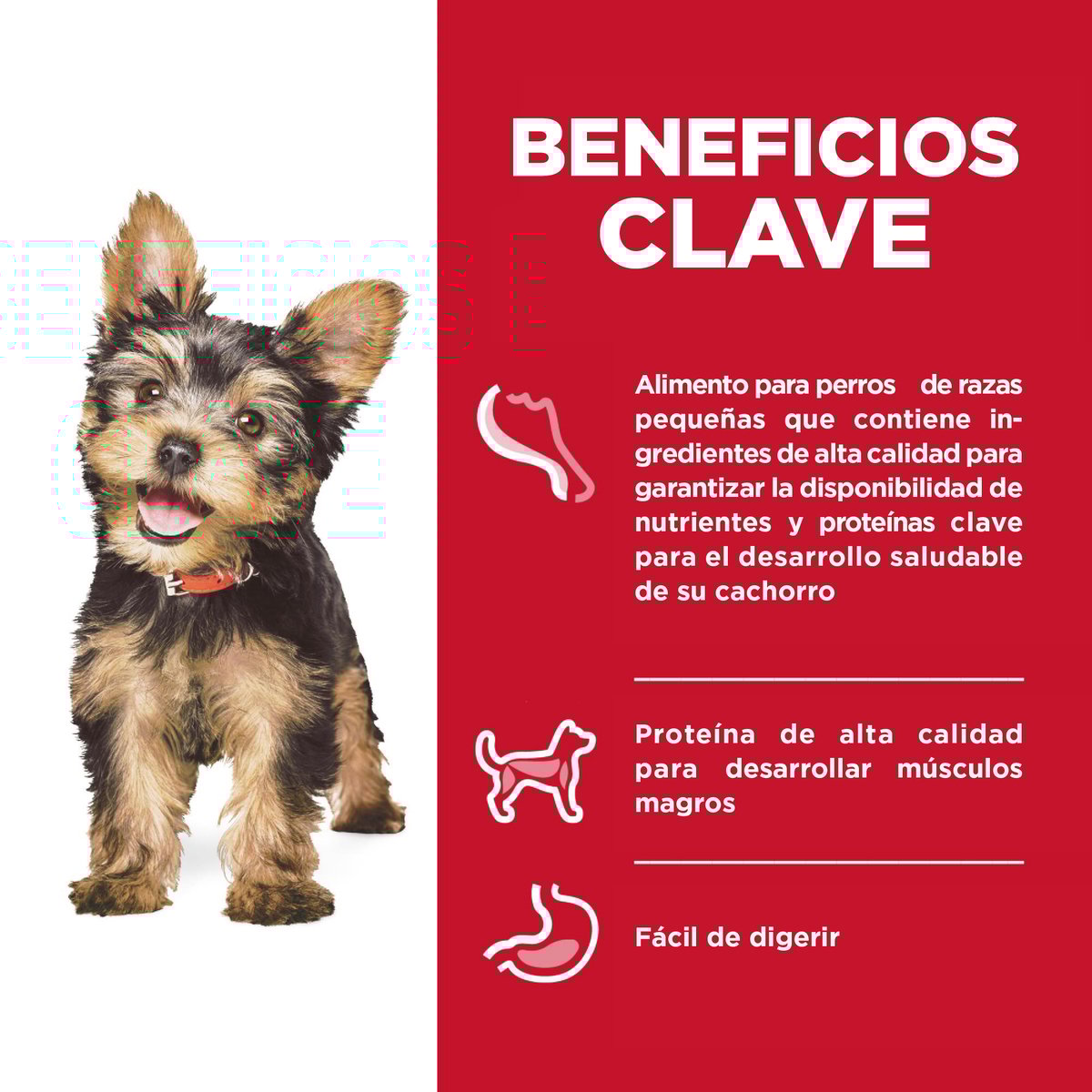 Hill's Science Diet Small & Mini Alimento para Perro Cachorro Raza Pequeña y Mini Receta Pollo, 99 g