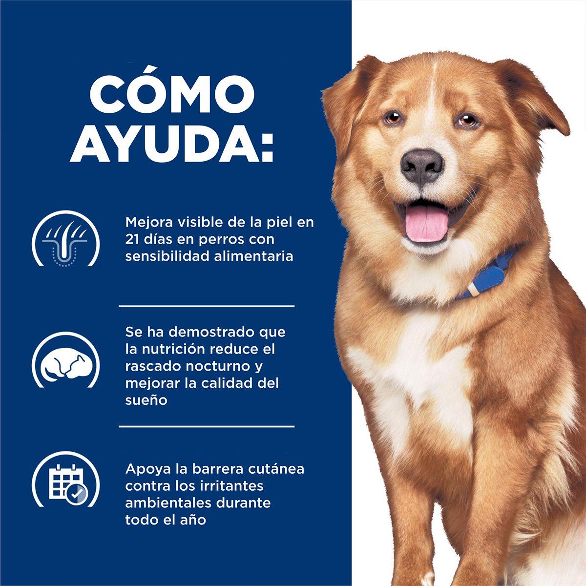 Hill's Prescription Diet Derm Complete Alimento Húmedo Cuidado Dermatológico para Perro 371 g