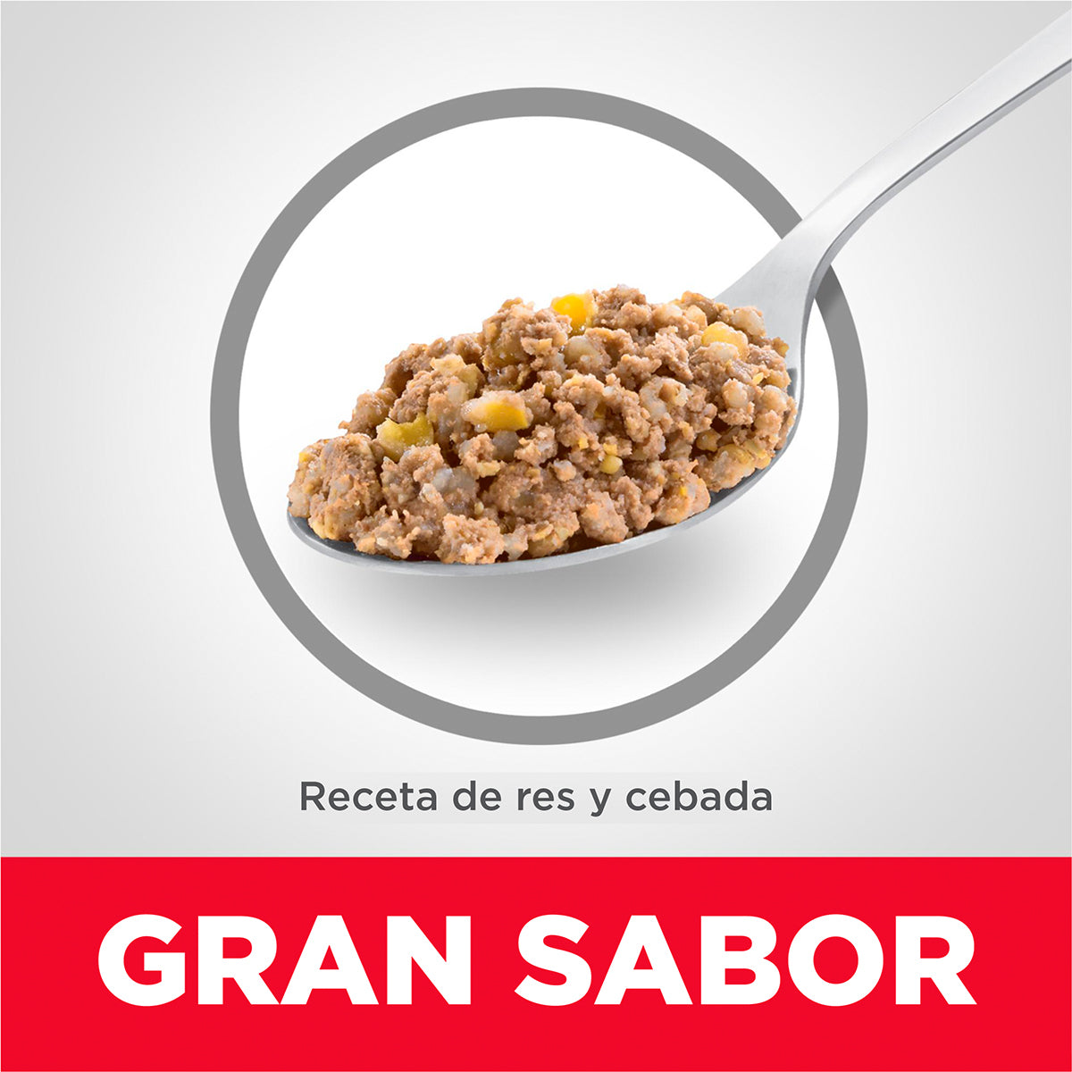 Hill's Science Diet Alimento Húmedo Receta Res y Cebada para Perro Adulto 370 g