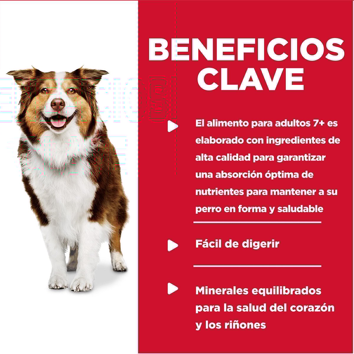 Hill's Science Diet Alimento Húmedo Receta Res y Cebada para Perro Senior 7+ 370 g