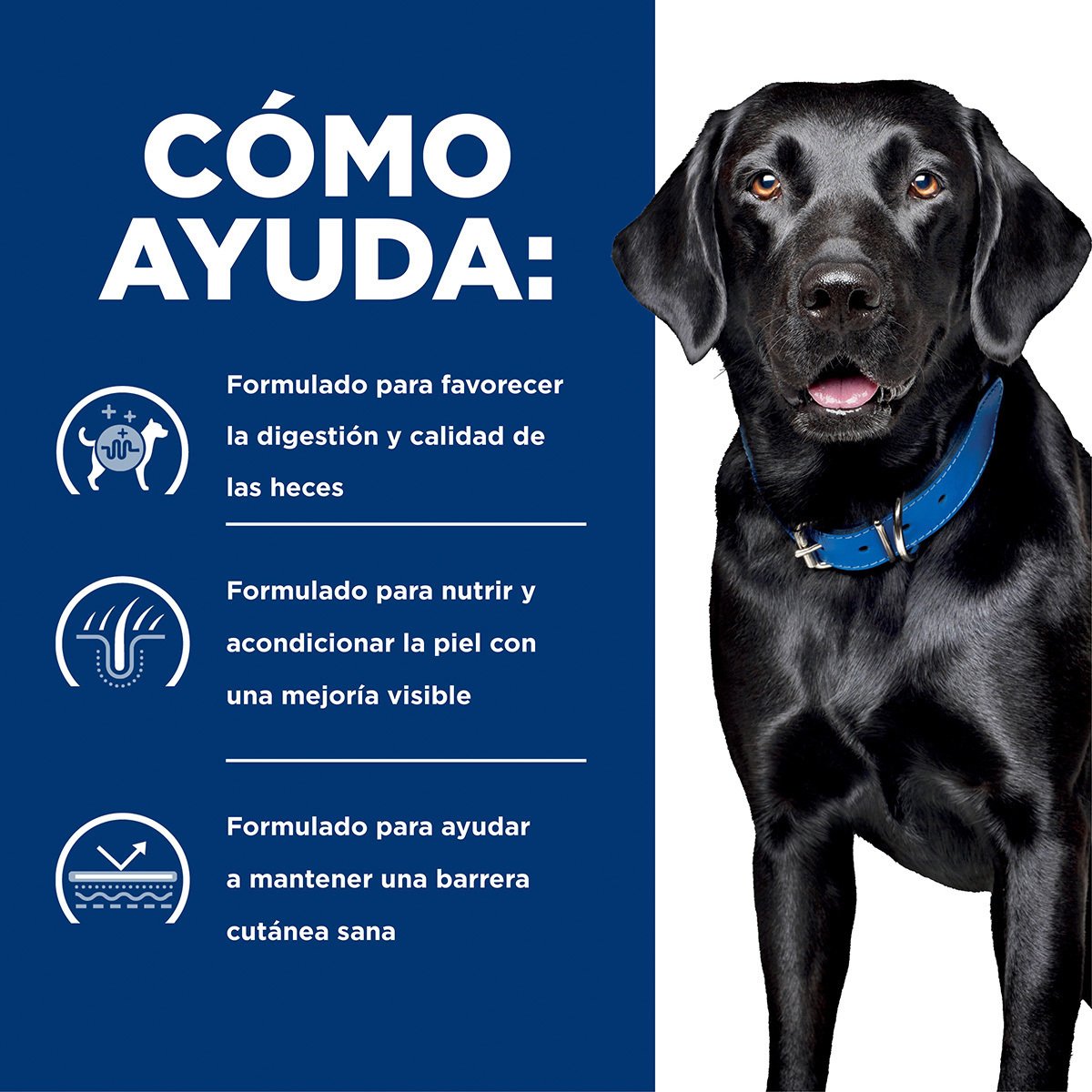 Alimento Hill's Prescription Diet d/d Sensibilidad Alimenticia Para Perro (Bajo pedido)