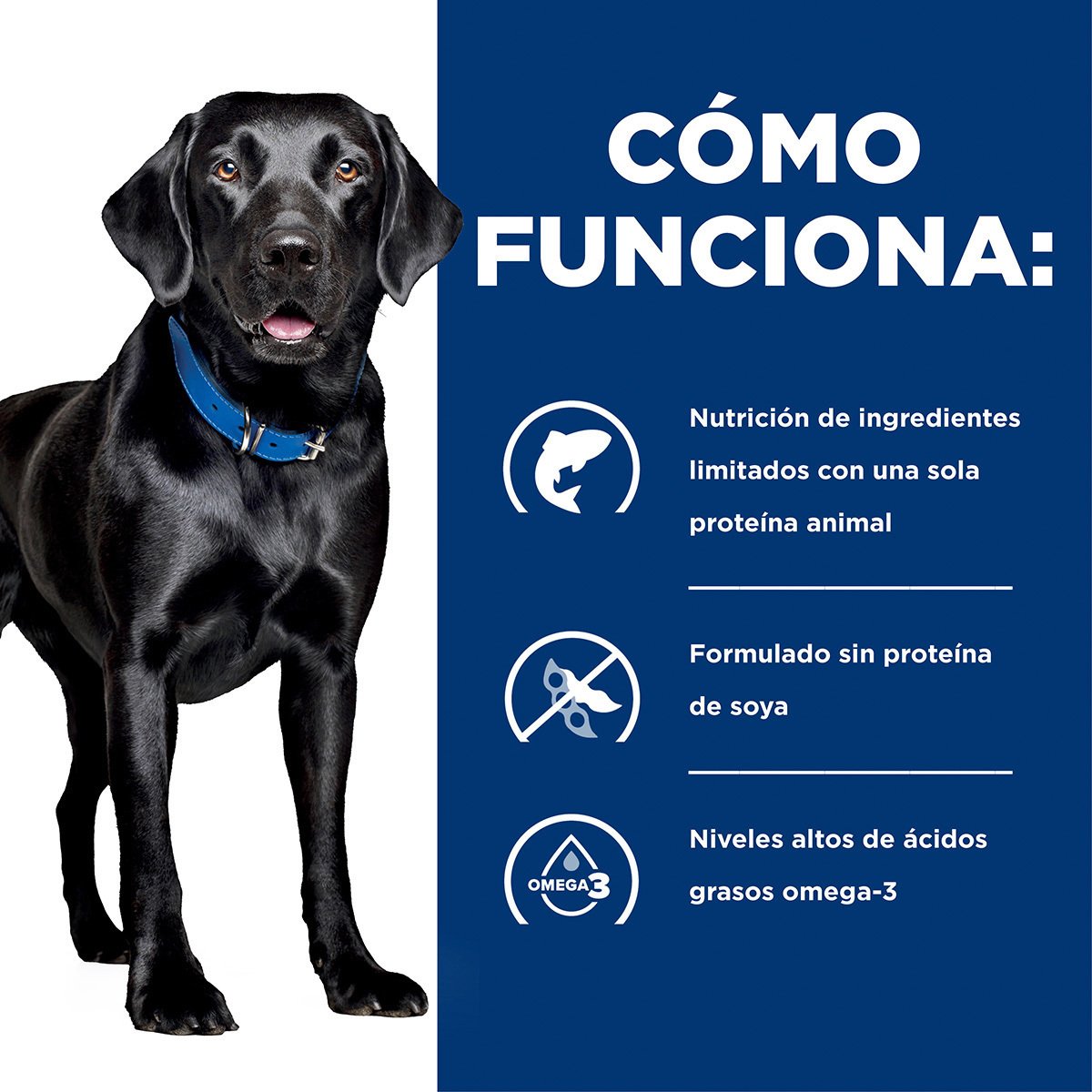 Alimento Hill's Prescription Diet d/d Sensibilidad Alimenticia Para Perro (Bajo pedido)