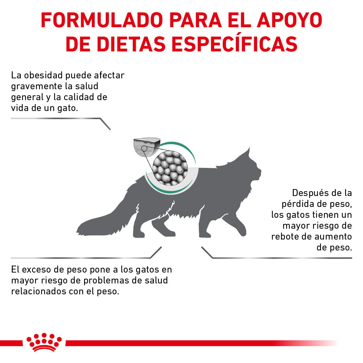 Alimento Royal Canin Soporte de Saciedad Para Gato