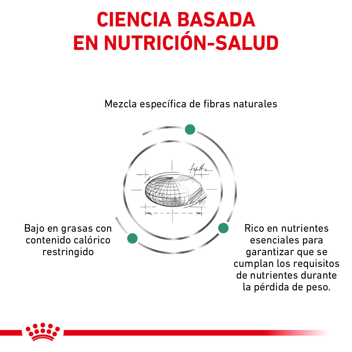 Alimento Royal Canin Soporte de Saciedad Para Gato
