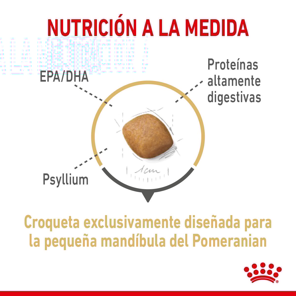 Royal Canin Alimento Seco para Perro Adulto Raza Pomerania (UNICAMENTE BAJO PEDIDO)
