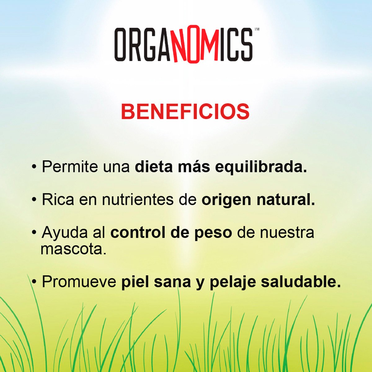 Alimento Organomics Cordero y Res Para Perro Lata 354g