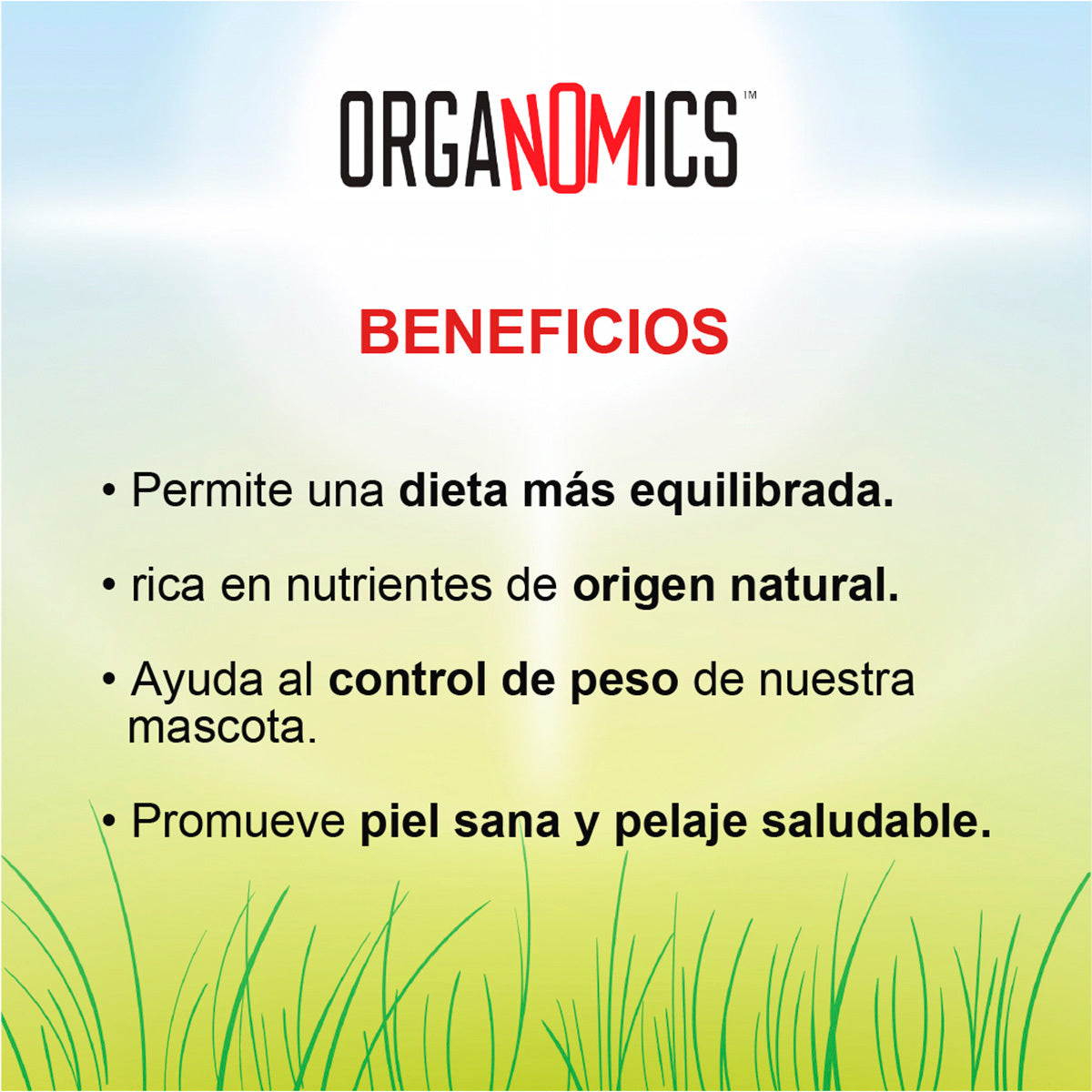 Alimento Organomics Pollo Para Perro Lata 354g