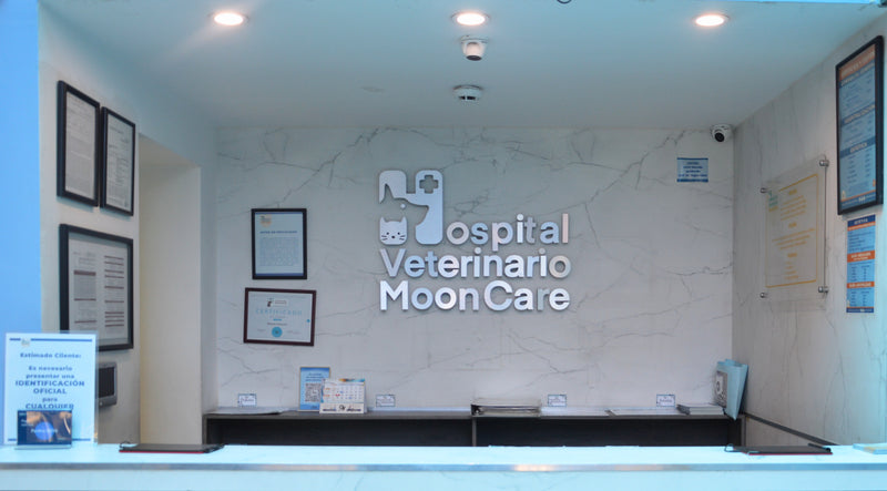 HOSPITAL VETERINARIO 24HR