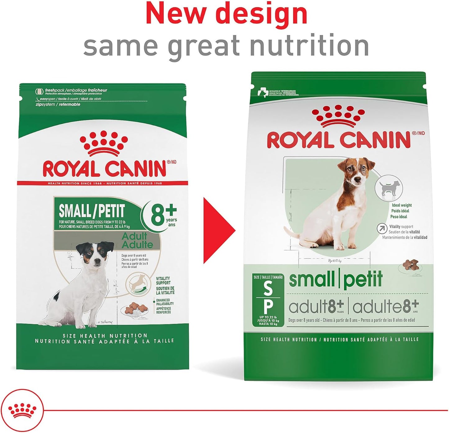 Royal Canin Croquetas para Perros Pequeños, Mini Mature +8, 1.1 kg