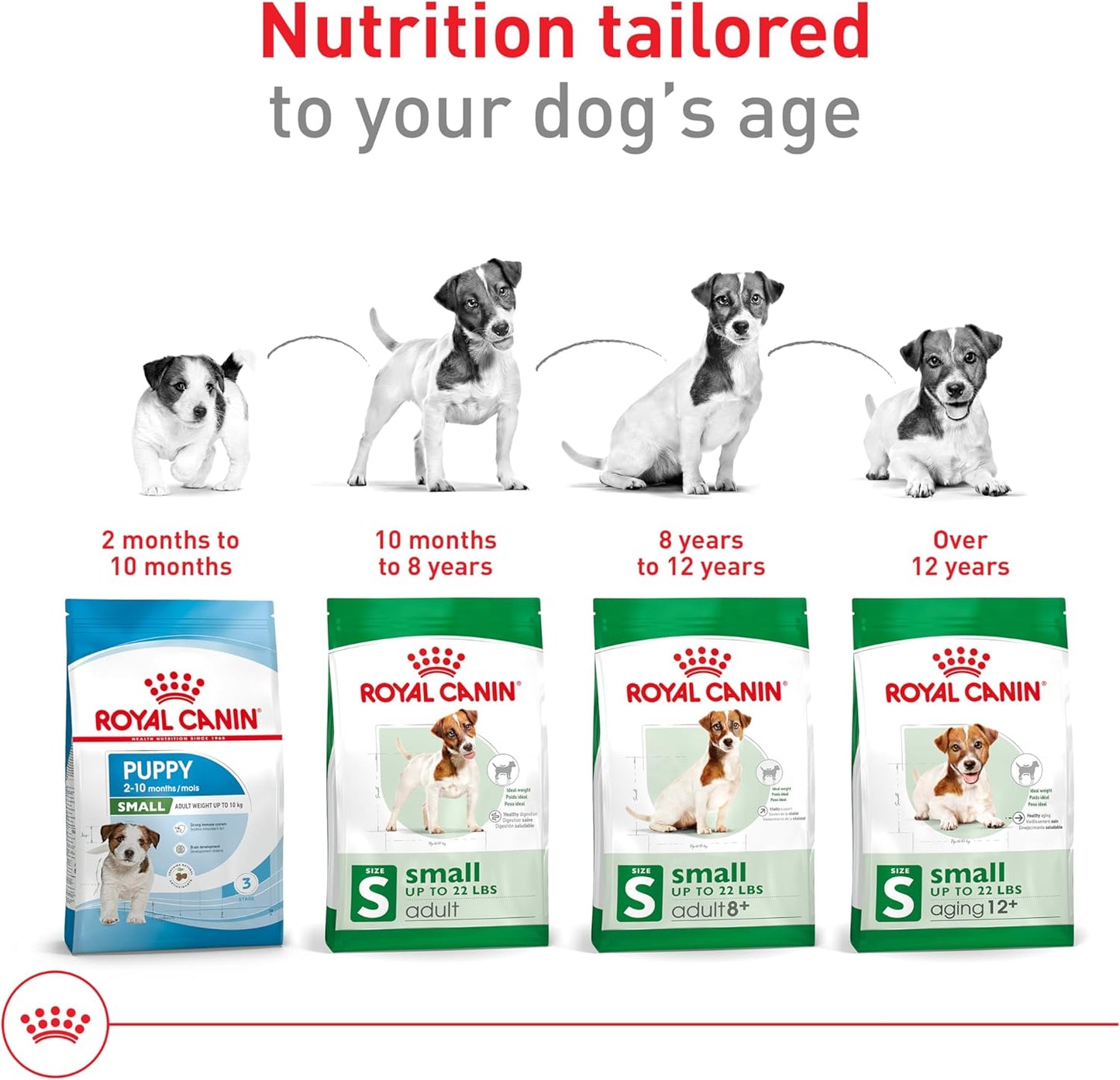 Royal Canin Croquetas para Perros Pequeños, Mini Mature +8, 1.1 kg