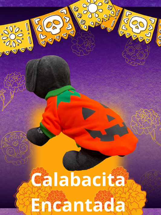 Disfraz para Perro “Calabacita Encantada” 🎃🐾